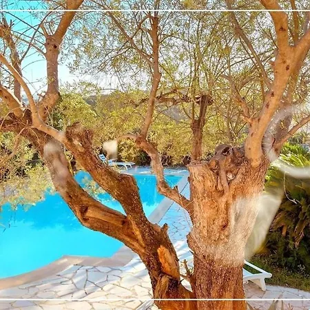 Provencal Parenthesis Apartment Antibes